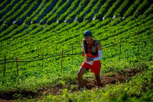 BIB: 
                            <button type="button" onclick="openModal(19160762)" class="btn btn-primary btn-sm float-right btn-popup" data-toggle="modal" data-target=".modal-high-quality">
                        <i class="fas fa-shopping-cart"></i> Add to Cart
                    </button>
                                            <button type="button" onclick="isThisMe(19160762, true)" class="btn btn-success btn-sm float-right btn-popup btn-isme hidden" data-toggle="tooltip" data-placement="bottom" title="นี่คือรูปของคุณใช่ไหม คลิกที่นี่เพื่อเอาเข้าอัลบั้ม">
                        <i class="fas fa-plus"></i> Add to album
                    </button>
                    <button type="button" onclick="isThisMe(19160762, false)" class="btn btn-warning btn-sm float-right btn-popup btn-isnotme hidden">
                        <i class="fas fa-ban"></i> Remove from album
                    </button>